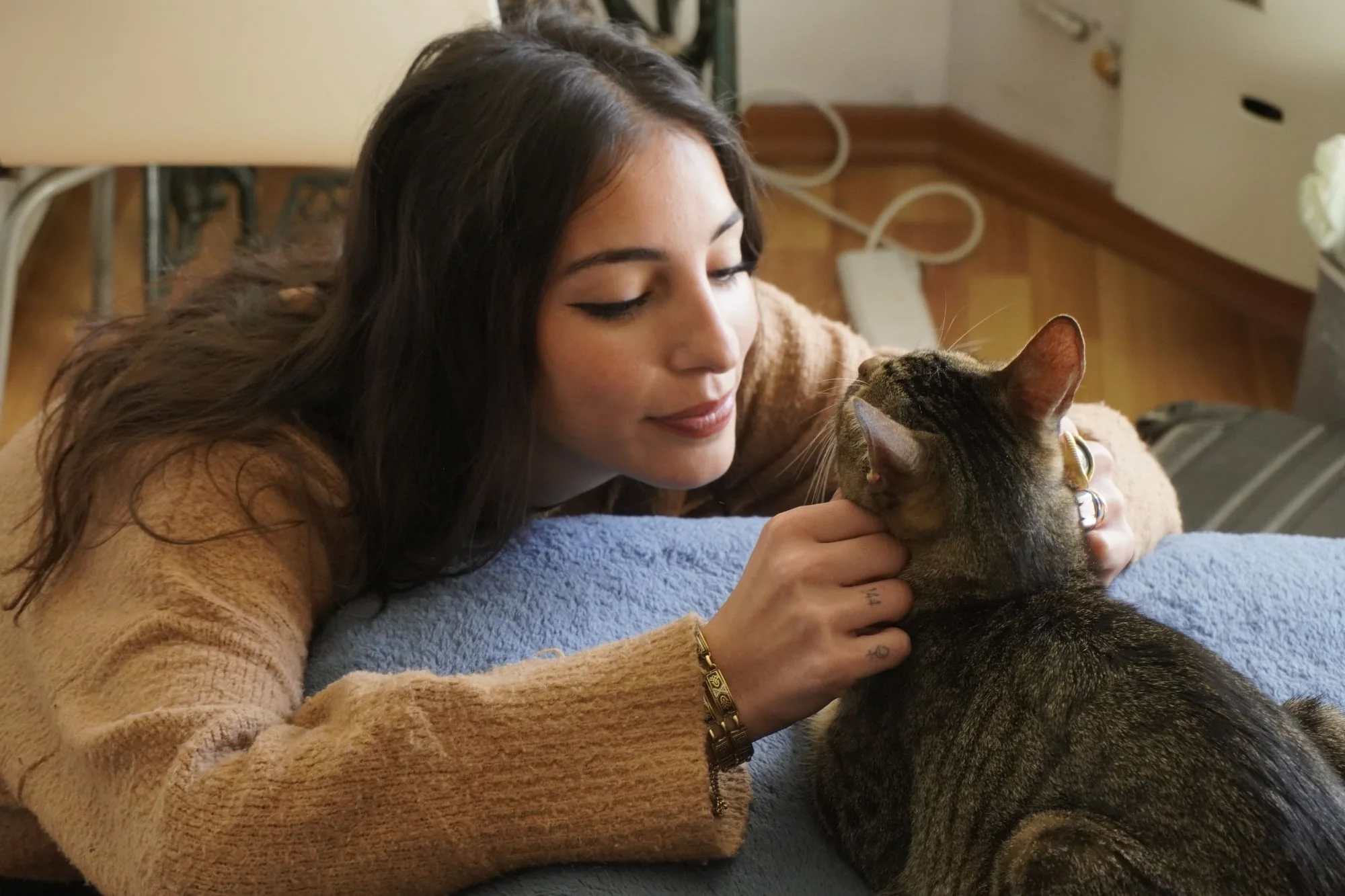 Cómo eligen los gatos a su persona favorita y cuál es la razón detrás
