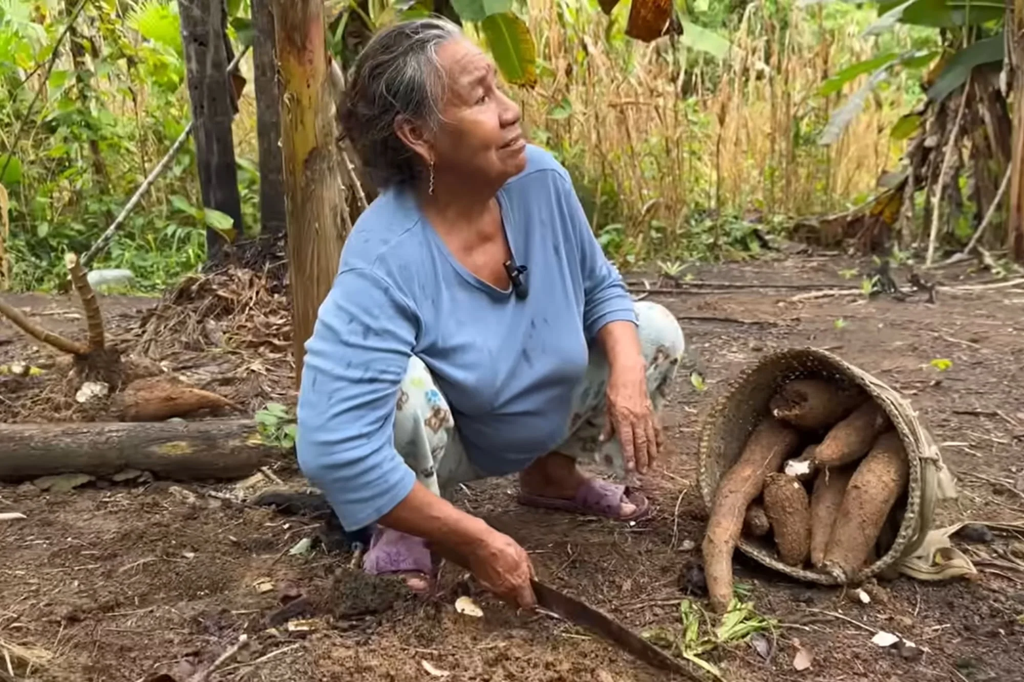 Rosa y Sixto dejaron todo por vivir en la selva: “Acá uno no se pelea con la familia, vive tranquilo”