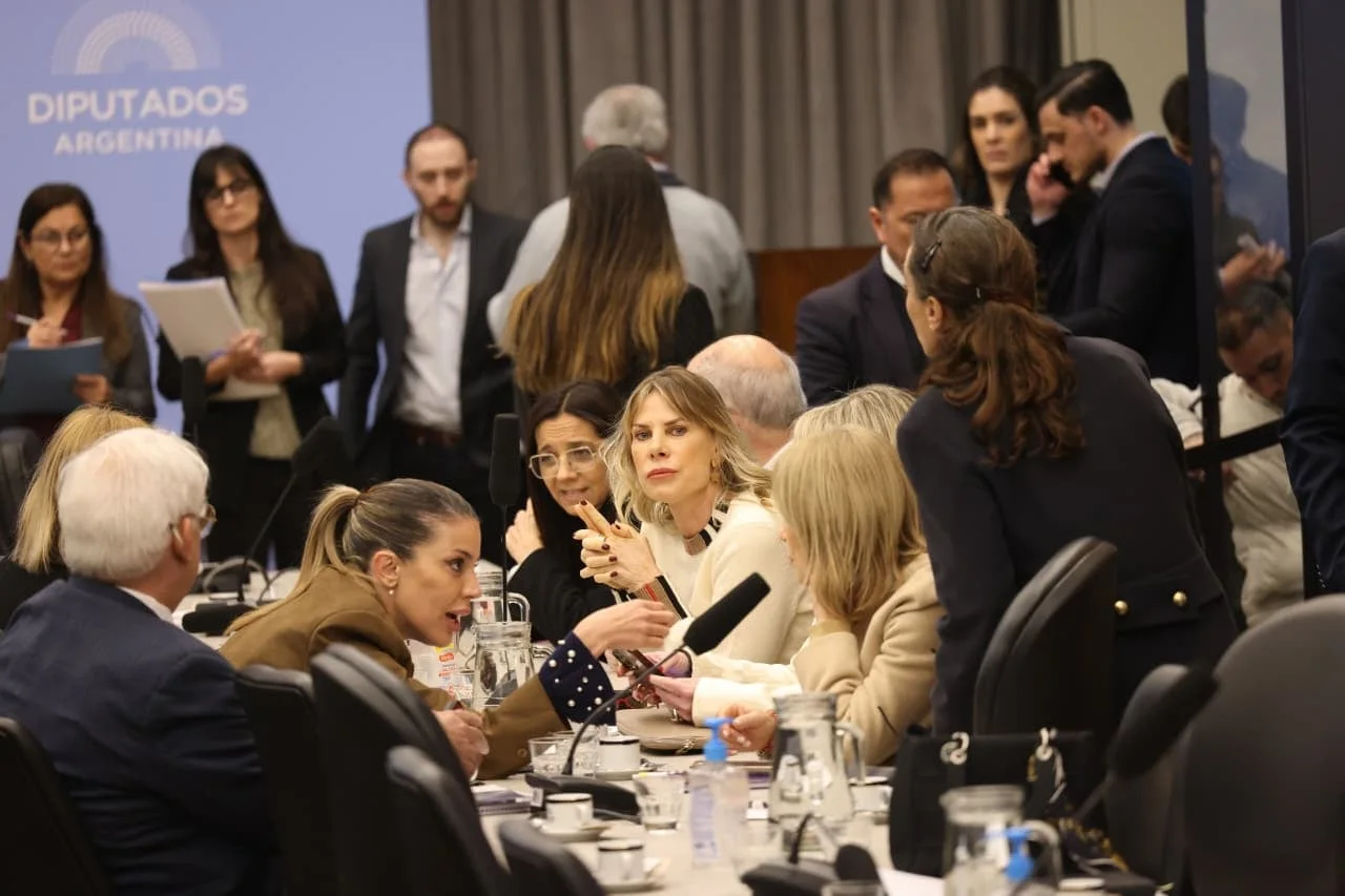 Cortocircuito y quiebre entre la Casa Rosada y sus diputados por la ley de discapacidad