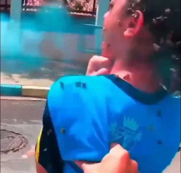 Una estudiante de 12 años fue atacada por un enjambre de abejas en Brasil: sufrió múltiples picaduras y quedó en shock