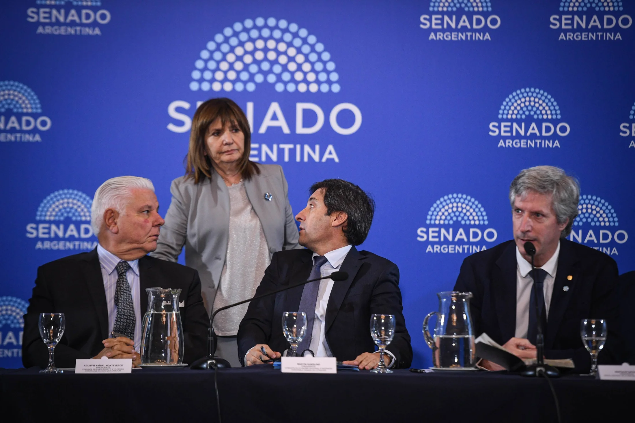 Senado: el oficialismo aceptó cambios y la reforma del Central deberá volver a Diputados