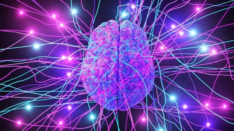Nobel de Medicina 2026: una técnica que revolucionó el estudio del cerebro y de los trastornos neurológicos y psiquiátricos