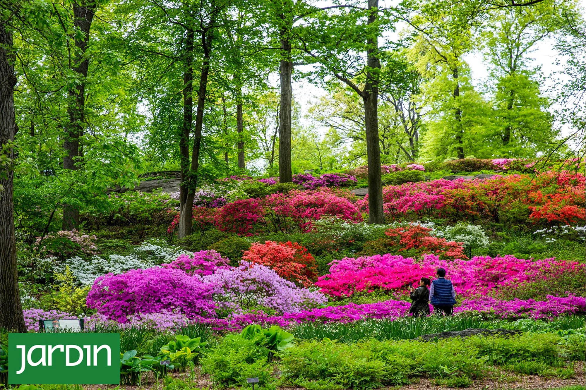 Los siete jardines botánicos que conservan el futuro de las plantas del planeta